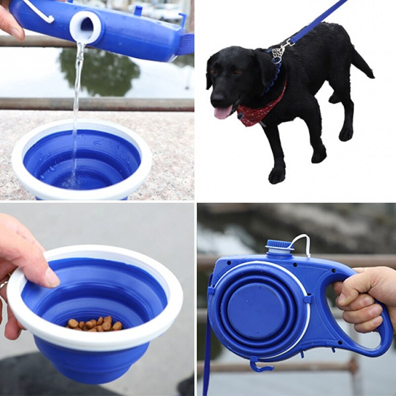 Multi-Purpose Pet Leash